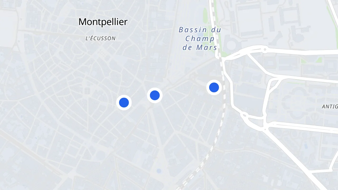 Carte de Montpellier avec ses commerces pillés
