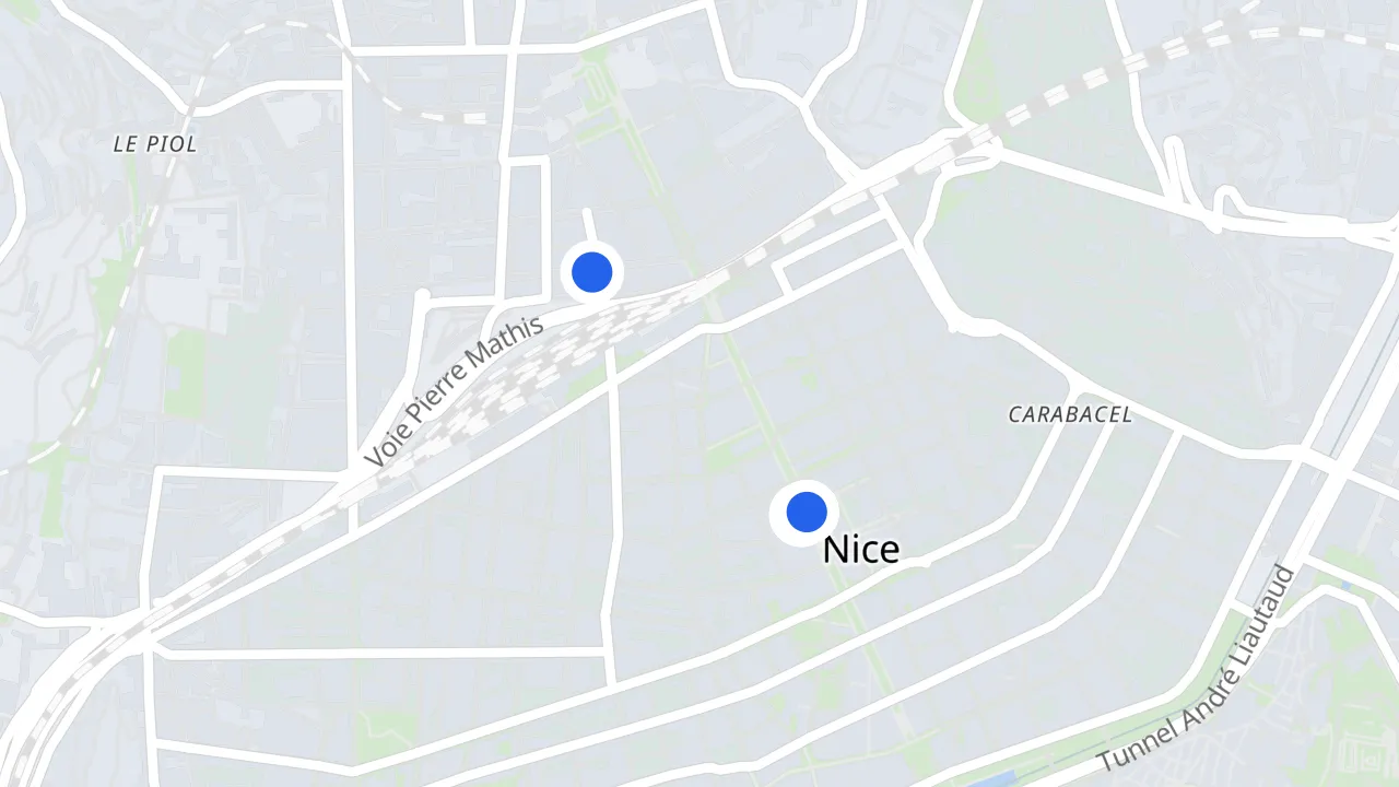 Carte de Nice avec ses commerces pillés