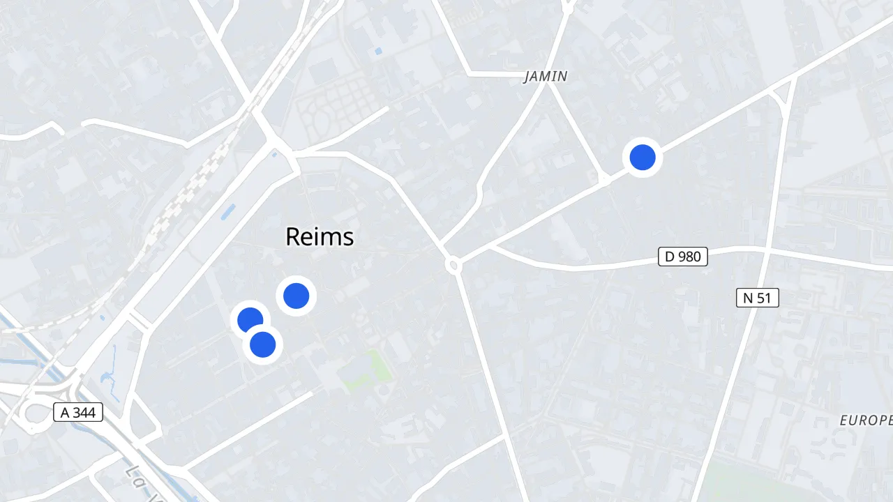 Reims地图,标出遭洗劫的商家